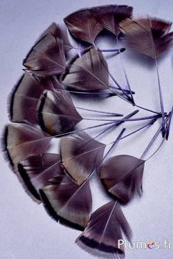 Verenblaadjes - 6-8 x 3-4 cm - grijs-antraciet metallic